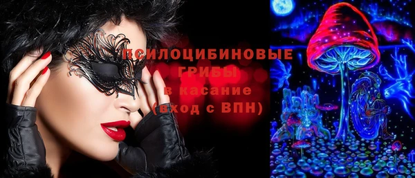 ECSTASY Лиски