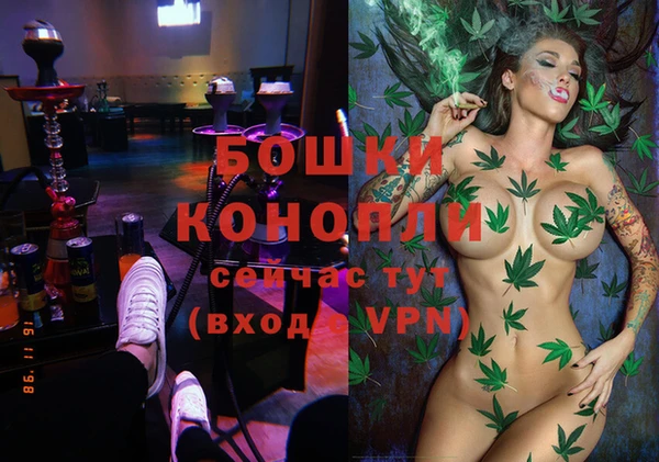 ECSTASY Лиски
