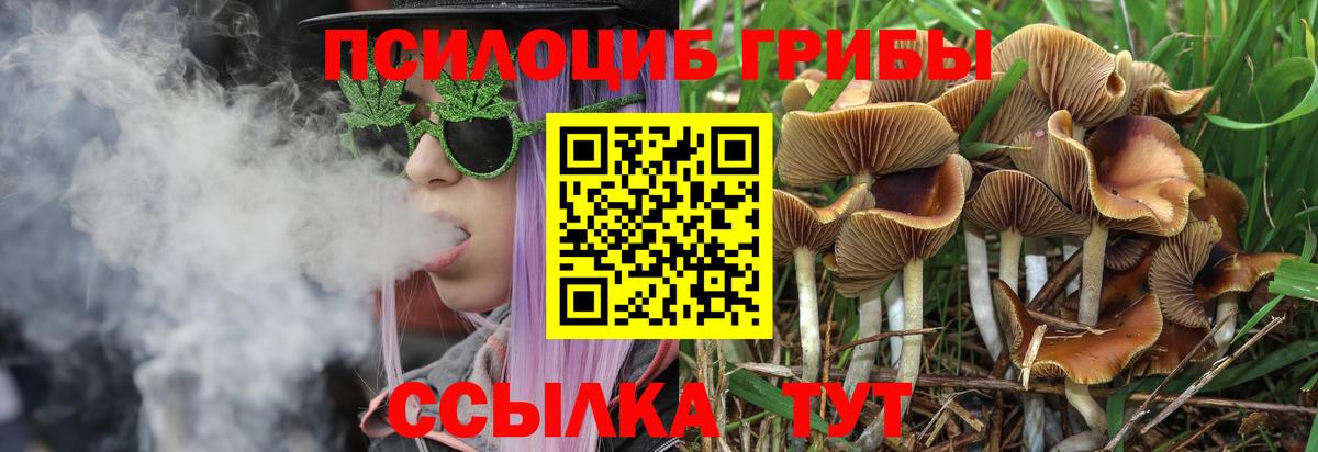 Галлюциногенные грибы Cubensis  Кудрово 