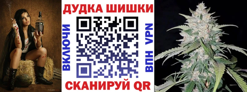 Конопля сатива  Кудрово 